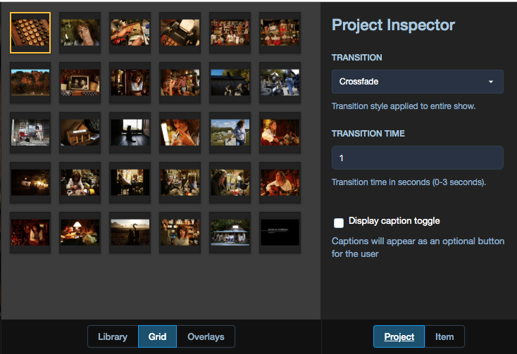 Project inspector
